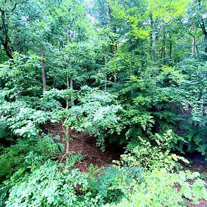 https://forest-23-marca.gdanskhotel.org