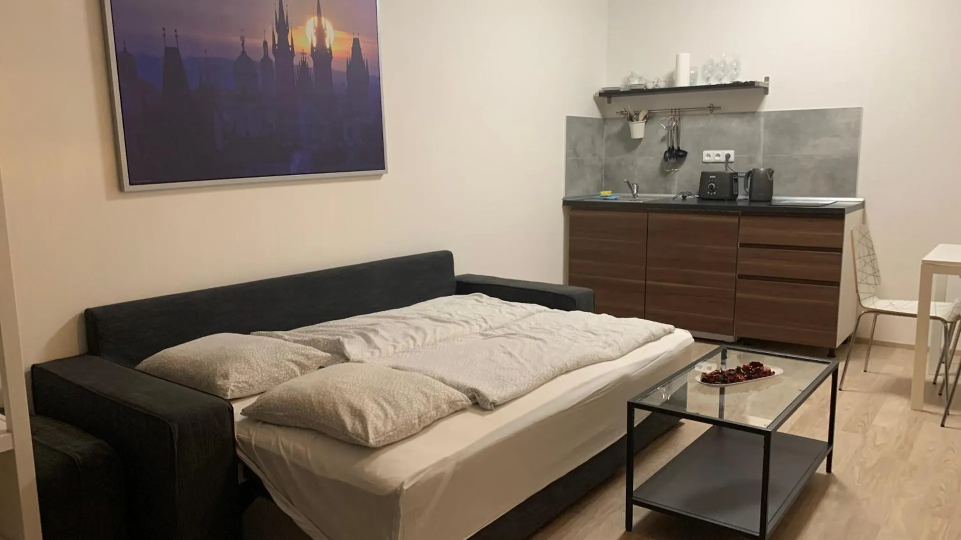 Residence Port Karolina 프라하